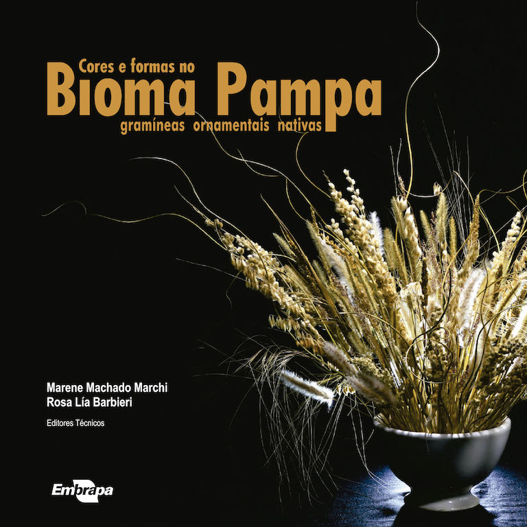 Cores-e-Formas-no-Bioma-Pampa